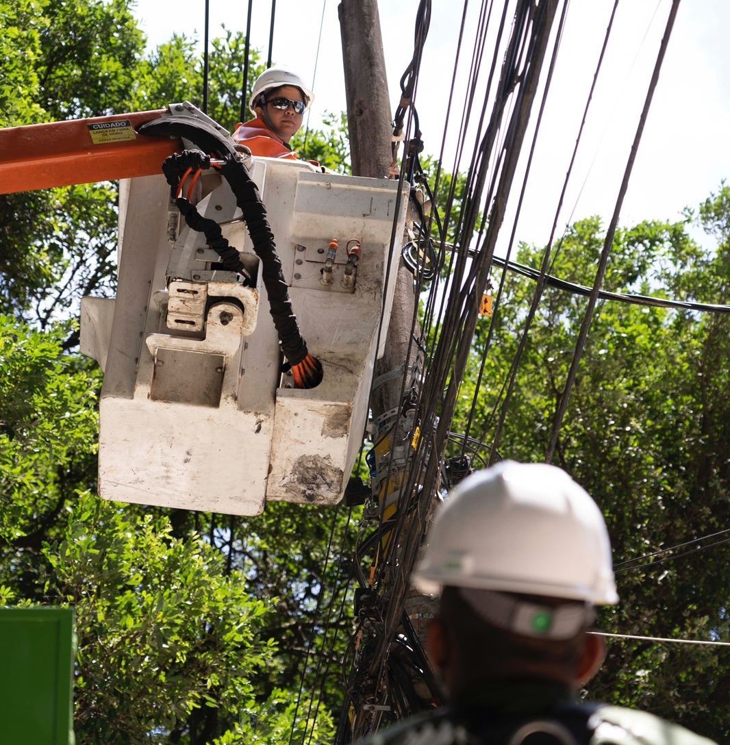 Em Tr S Meses Neoenergia Pernambuco Remove Toneladas De Cabos