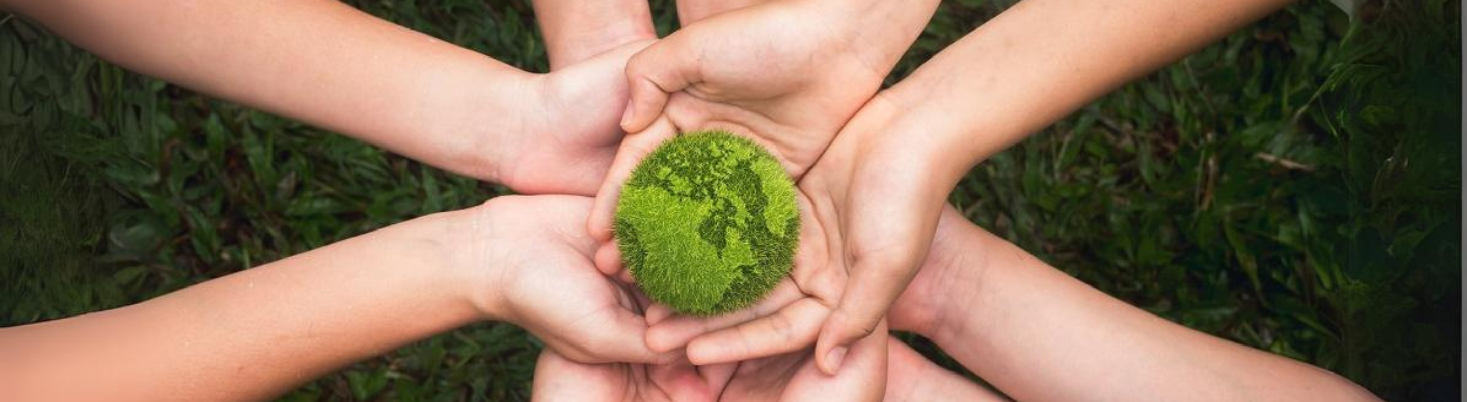 Foto de mãos segurando um planeta terra
