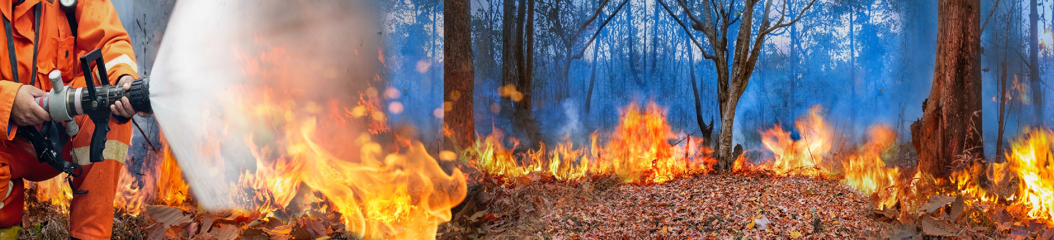 imagem de vegetação incediada e bombeiro em ação com jato de água