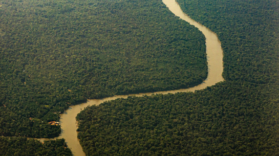 Imagem aérea do Rio Amazonas" height="305