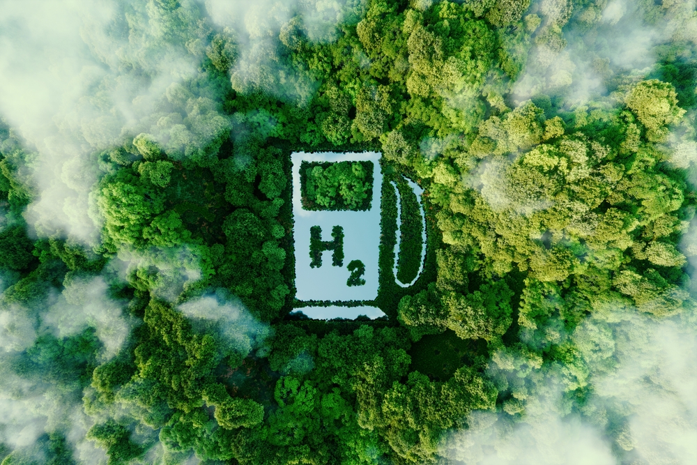 Vegetação com a sigla do hidrogênio verde sobre ela
